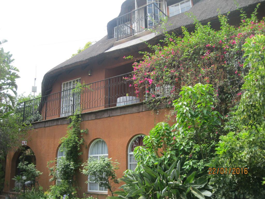 Treetops & Treats Guest House Pretoria Exterior photo
