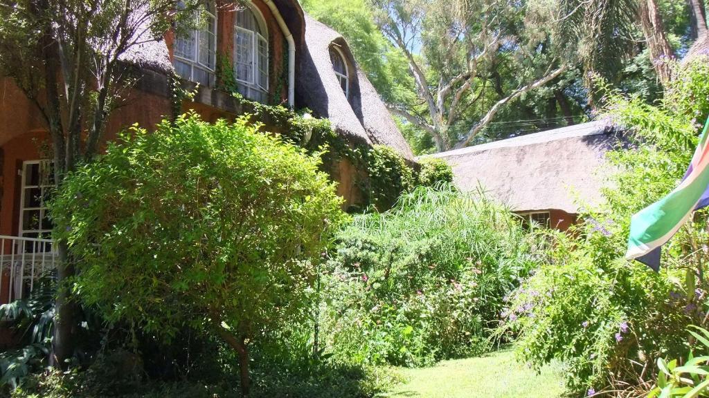 Treetops & Treats Guest House Pretoria Exterior photo