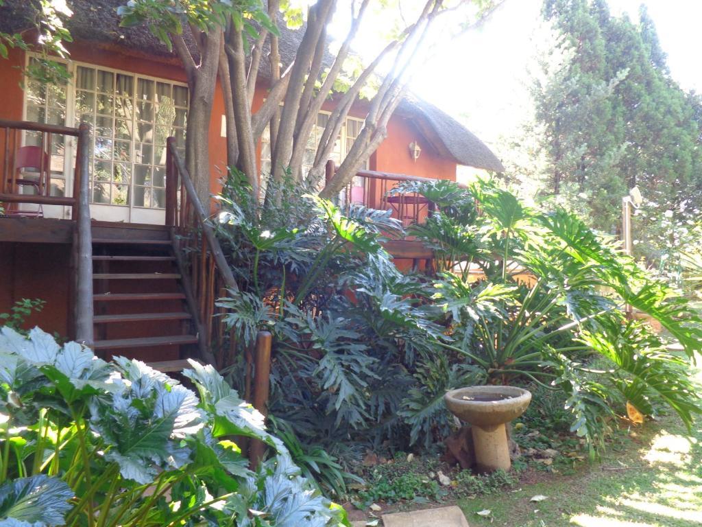 Treetops & Treats Guest House Pretoria Exterior photo